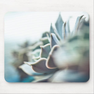 Mousepad Succulent de Echeveria