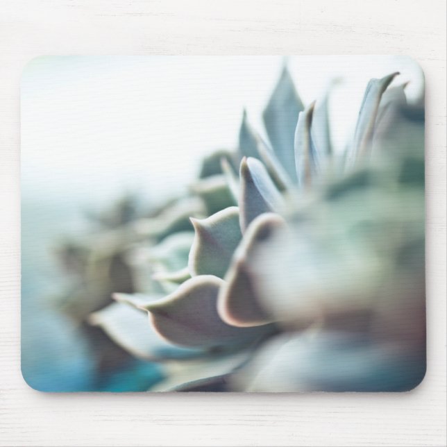 Mousepad Succulent de Echeveria (Frente)