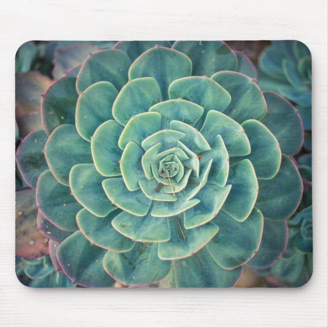 Mousepad Succulent do Fim-acima (Frente)