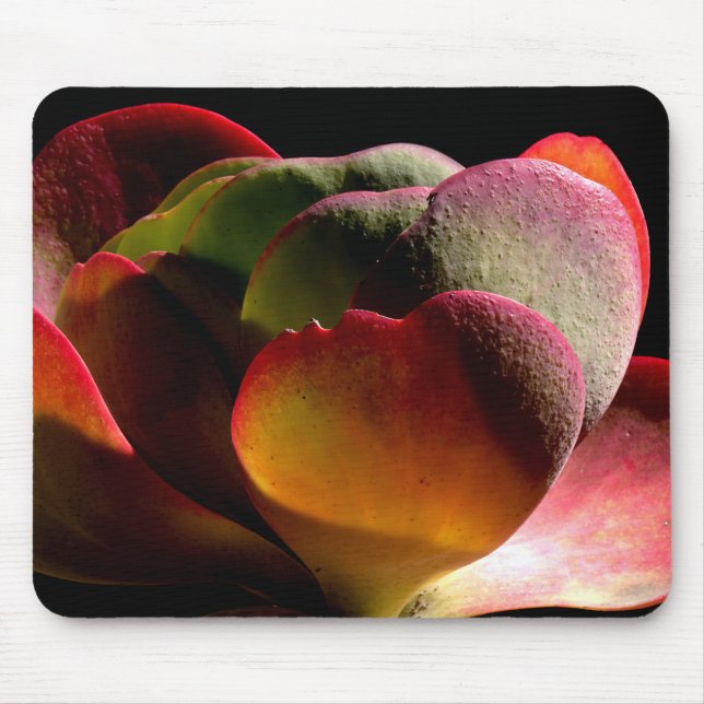Mousepad Succult Desert Plant (Frente)