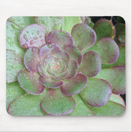Mousepad Suculente