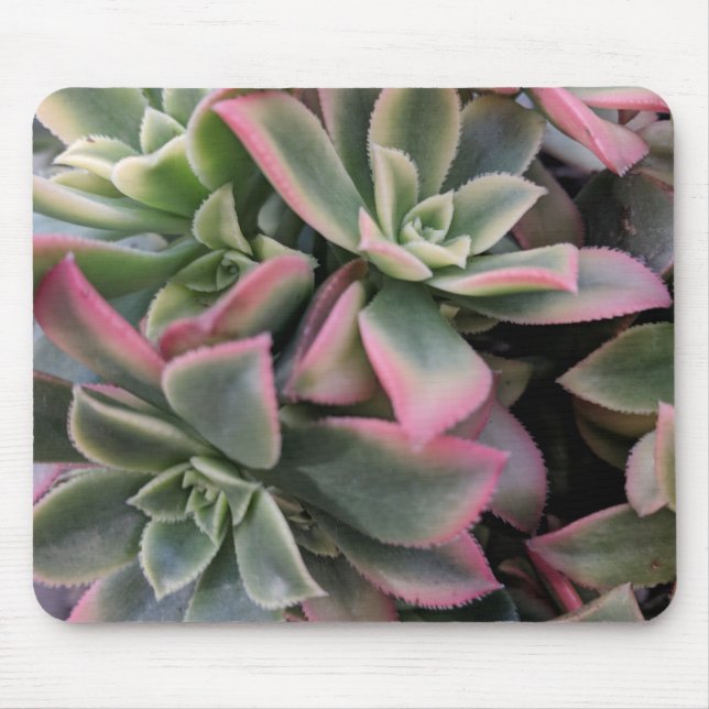 Mousepad Suculente (Frente)