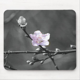 Mousepad Sugestão da flor de cerejeira cor-de-rosa