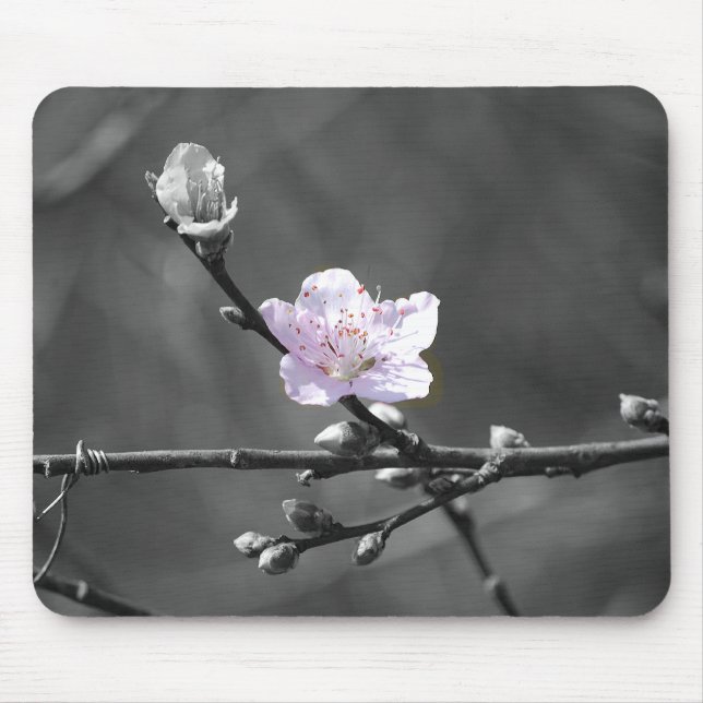 Mousepad Sugestão da flor de cerejeira cor-de-rosa (Frente)