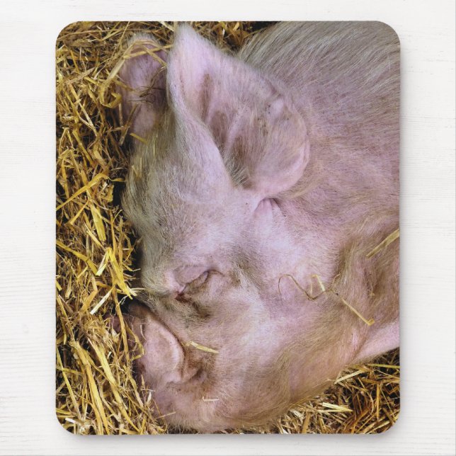 MOUSEPAD SUÍNOS (Frente)