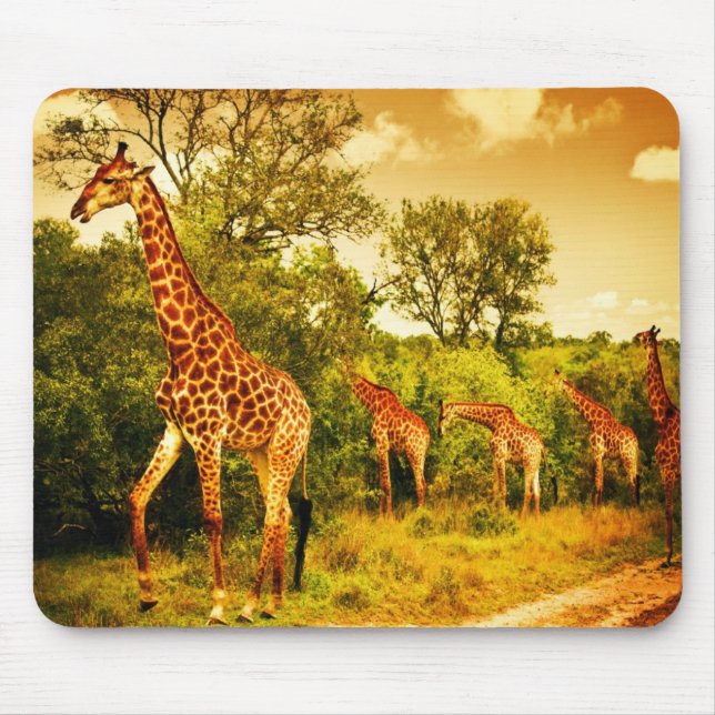 Mousepad Sul - girafas africanos (Frente)