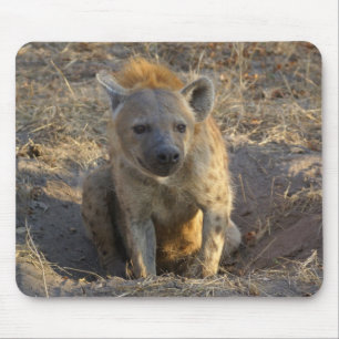 Mousepad Sul - hiena africana