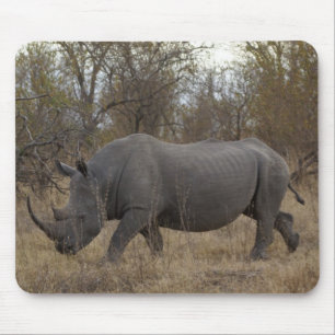 Mousepad Sul - rinoceronte africano