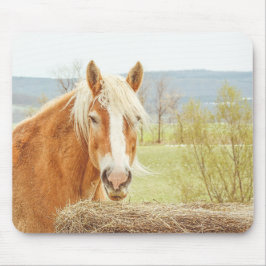 Mousepad Summer Breeze Palomino Farm Horse 