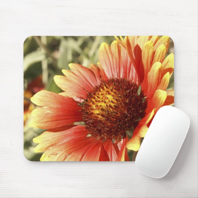 Mousepad Sun Drened Gaillardia (Com mouse)