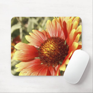 Mousepad Sun embebeu o Gaillardia