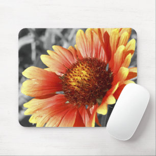 Mousepad Sun embebeu o Gaillardia