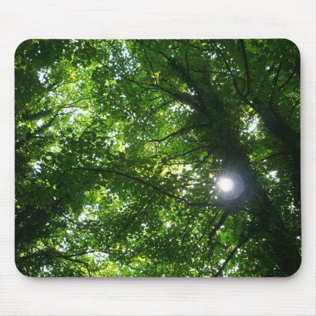 Mousepad Sun nas árvores (Frente)