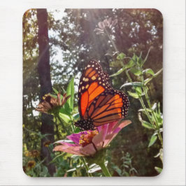 Mousepad Sun Streaming Down em Monarca em Flor