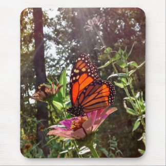 Mousepad Sun Streaming Down em Monarca em Flor