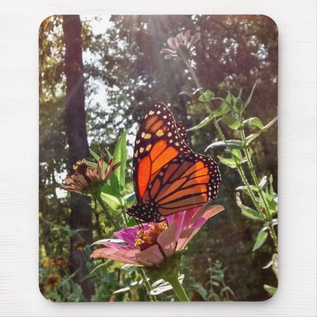 Mousepad Sun Streaming Down em Monarca em Flor (Frente)
