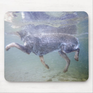 Mousepad Sun Valley, Idaho, EUA.