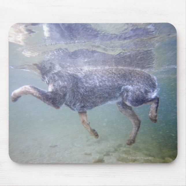 Mousepad Sun Valley, Idaho, EUA. (Frente)