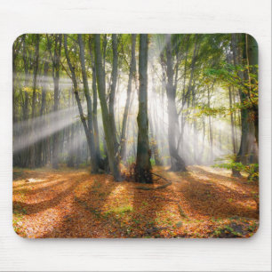 Mousepad Sunbeams em uma floresta de faia nebulosa no outon