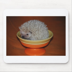 Mousepad Sundae do ouriço