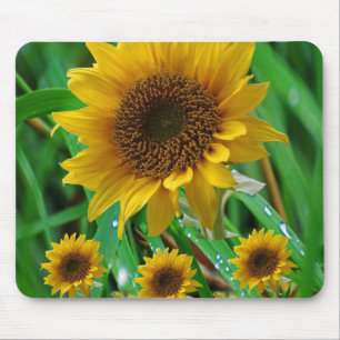 Mousepad Sunflower