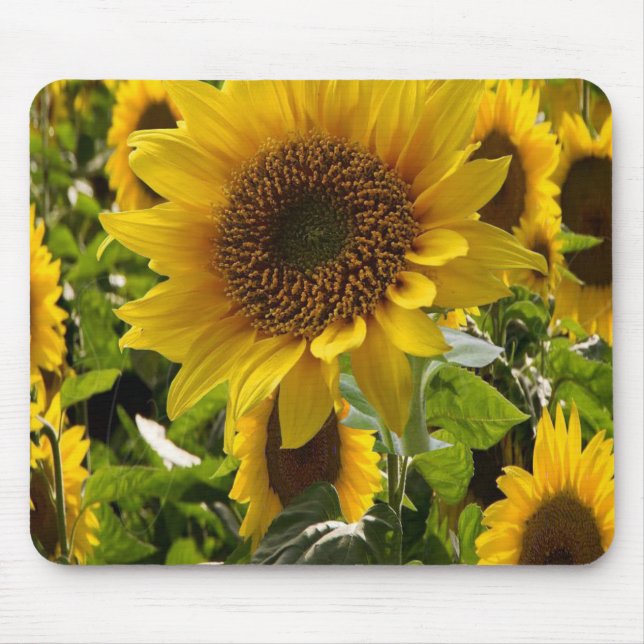 Mousepad Sunflower (Frente)