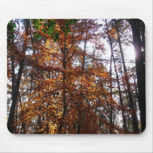 Mousepad Sunlight Through Fall Tree (Ponta de Sol por Queda
