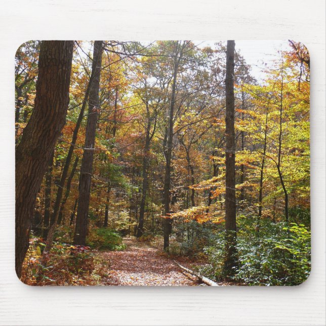 Mousepad Sunlit Fall Trail no Parque Estadual de Laurel Hil (Frente)