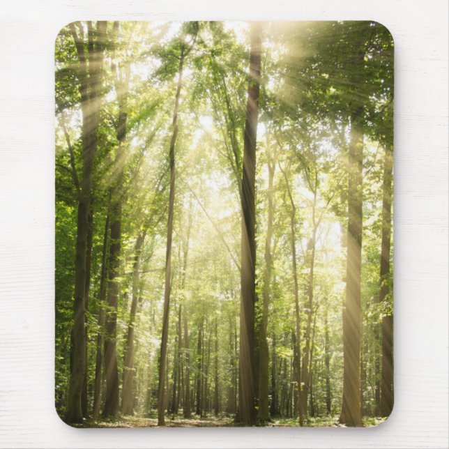 Mousepad Sunrays através das copas de árvore (Frente)