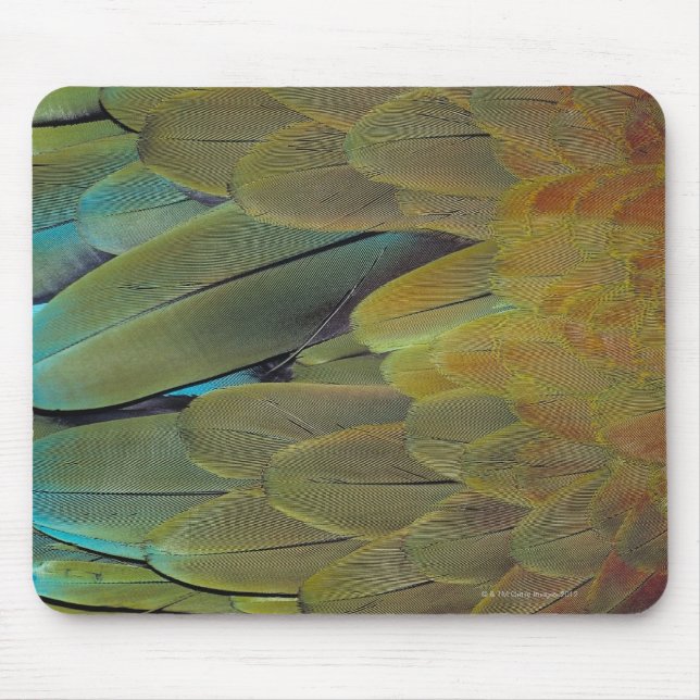 Mousepad Superfície da pena (Frente)