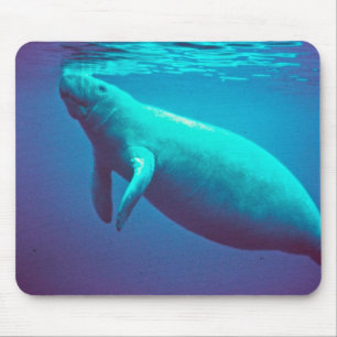 Mousepad Superfície do peixe-boi a respirar