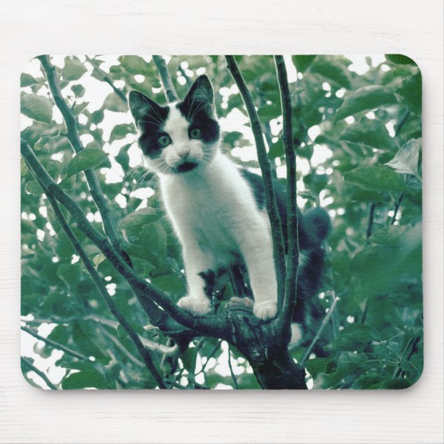 Mousepad Superfluência da travessura (Frente)