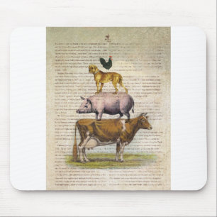 Mousepad Suporte A1.tif da fazenda NOB10