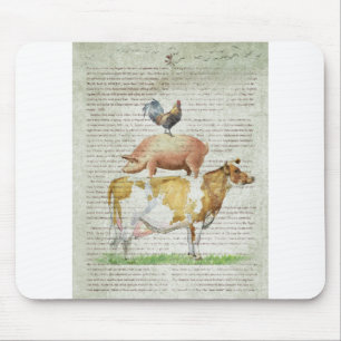 Mousepad Suporte B1.tif da fazenda NOB11