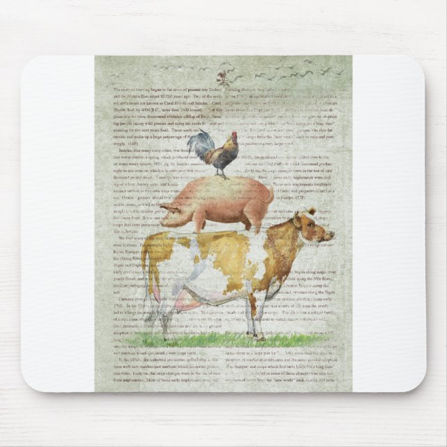 Mousepad Suporte B1.tif da fazenda NOB11 (Frente)