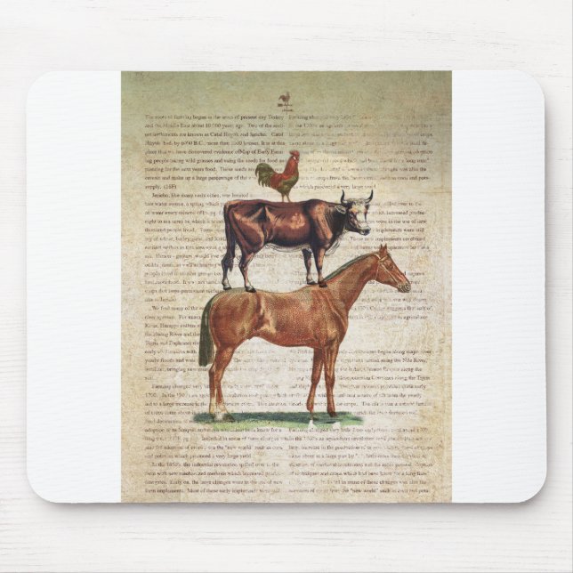 Mousepad Suporte C1.tif da fazenda NOB12 (Frente)