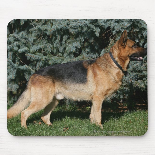 Mousepad Suporte da mostra do german shepherd (Frente)