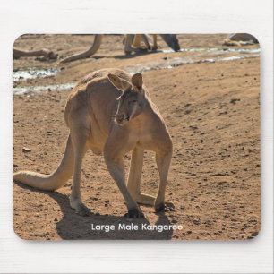 Mousepad Suporte de mouse
