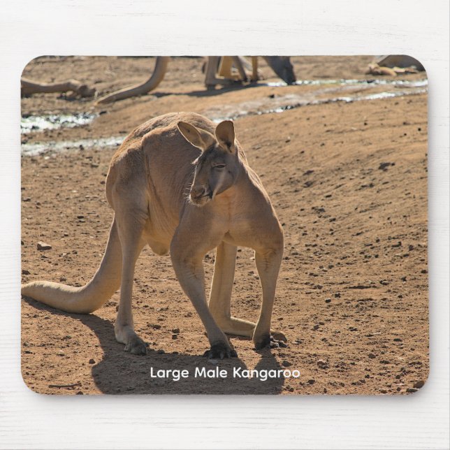 Mousepad Suporte de mouse (Frente)