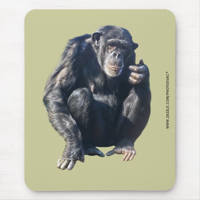 Mousepad Suporte de Mouse Chimpanzé (Frente)