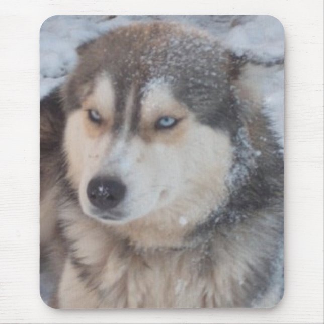 Mousepad Suporte de Mouse Com Husky (Frente)