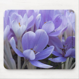 Mousepad Suporte de Mouse Crocus