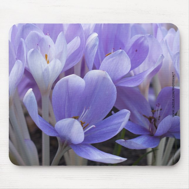Mousepad Suporte de Mouse Crocus (Frente)
