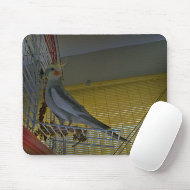 Mousepad Suporte de Mouse de Cacatua (Com mouse)