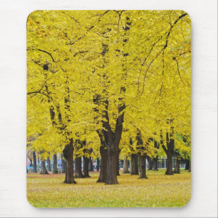 Mousepad Suporte de mouse de outono