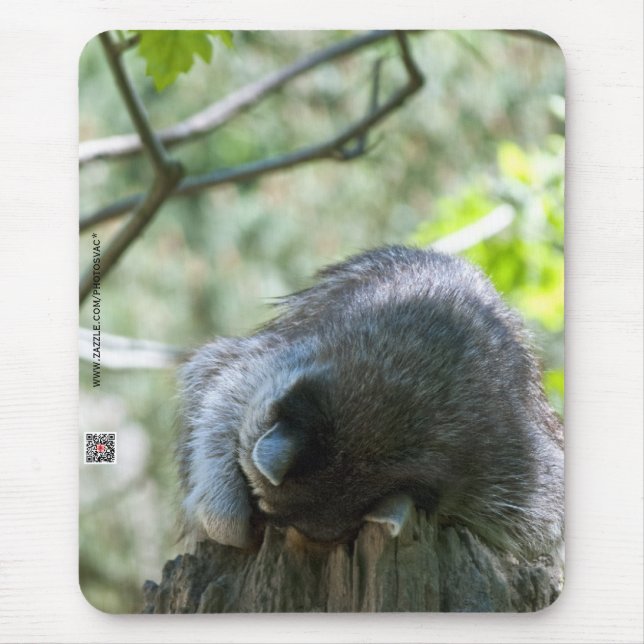 Mousepad Suporte de Mouse Mapache (Frente)