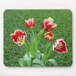 Mousepad Suporte de mouse Tulipa