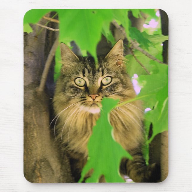 Mousepad Suporte de Rato Gato na Árvore (Frente)