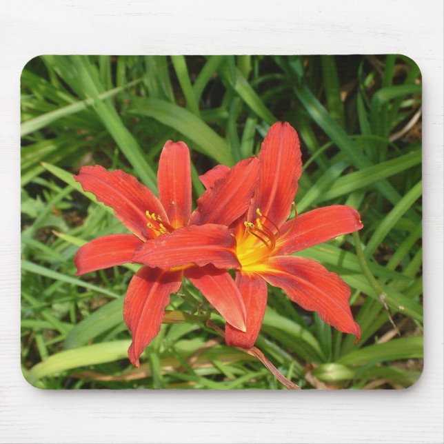 Mousepad Suporte do mouse (Frente)