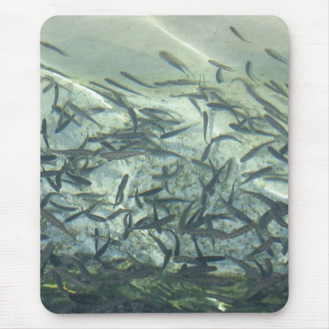 Mousepad Suporte do mouse (Frente)